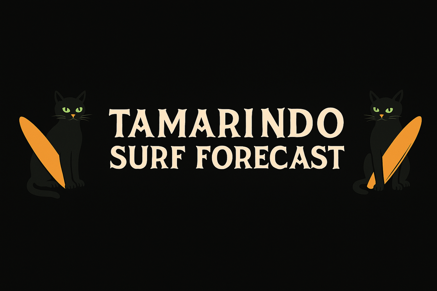 Tamarindo Surf Forecast cats